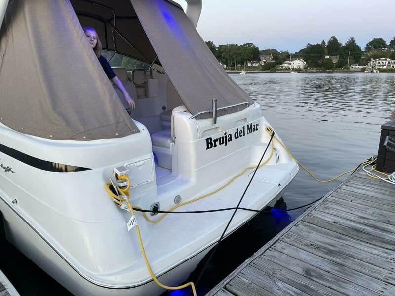 1998 Chris-Craft 320 Express Cruiser