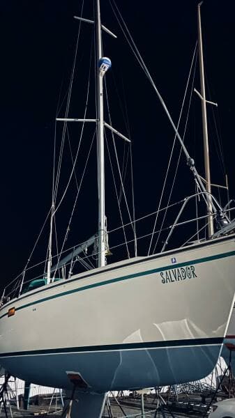 BB34E86F 29DC 499E ACFA 34FFA91A6035