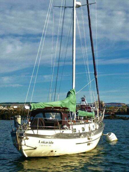 1982 Young Sun Cutter