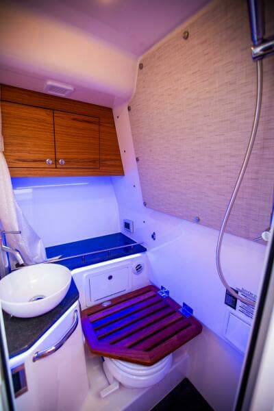 2019 Boston Whaler 380 Realm