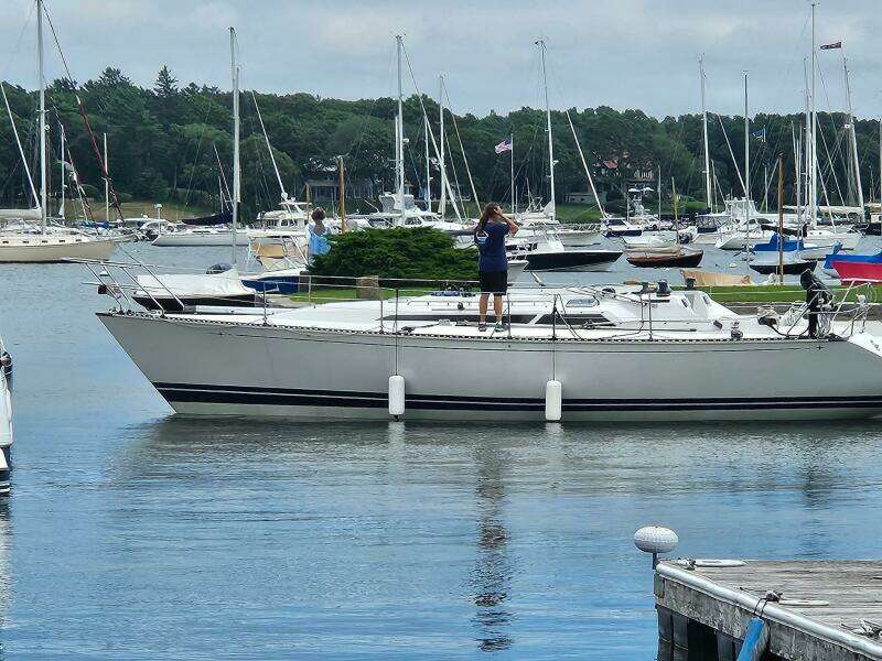 Waiting for the mast - 2025