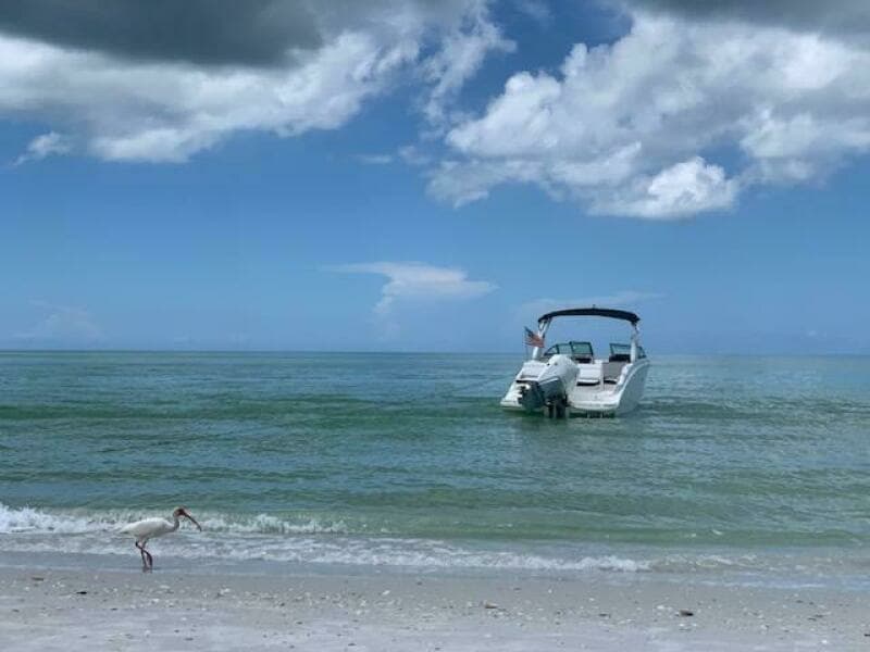 2019 Sea Ray SDX 270 Outboard