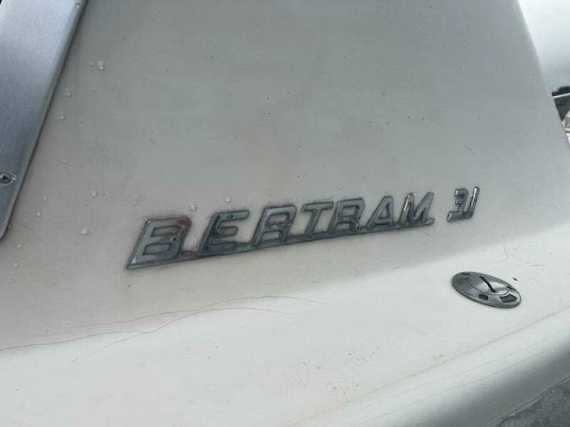 LITTLE EVA_Bertram Insignia