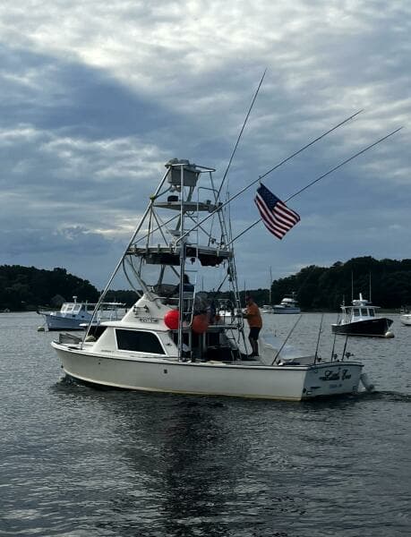 LITTLE EVA_Portside Cruising