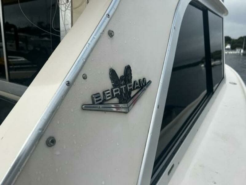 LITTLE EVA_Bertram Insignia 2