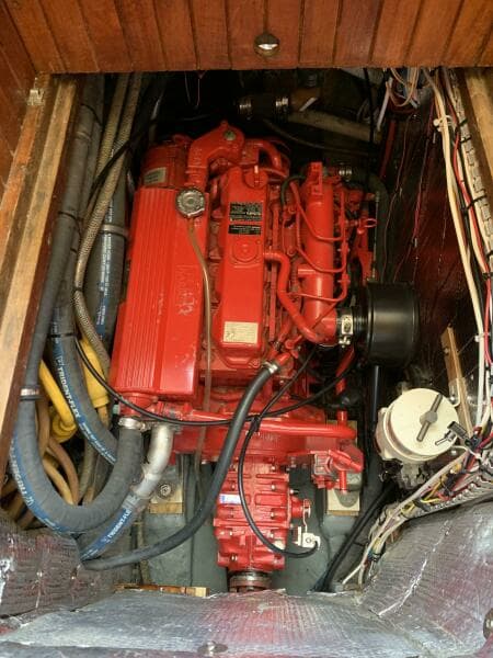 1979 Litton Perry 41