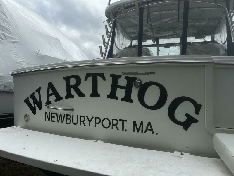 WARTHOG_Transom W Swim Platform