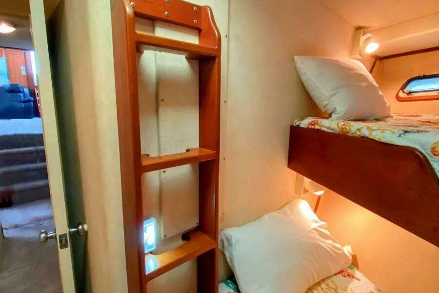 1986 Bertram 58 Flybridge Motor Yacht