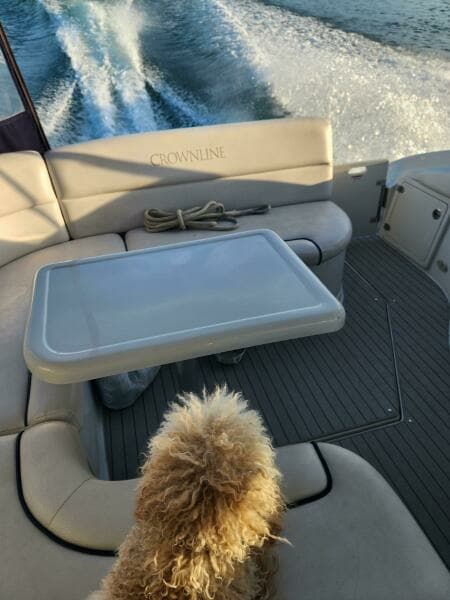 2008 Crownline 340 Cruiser