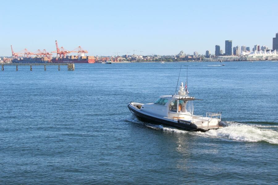 2009 Protector Targa