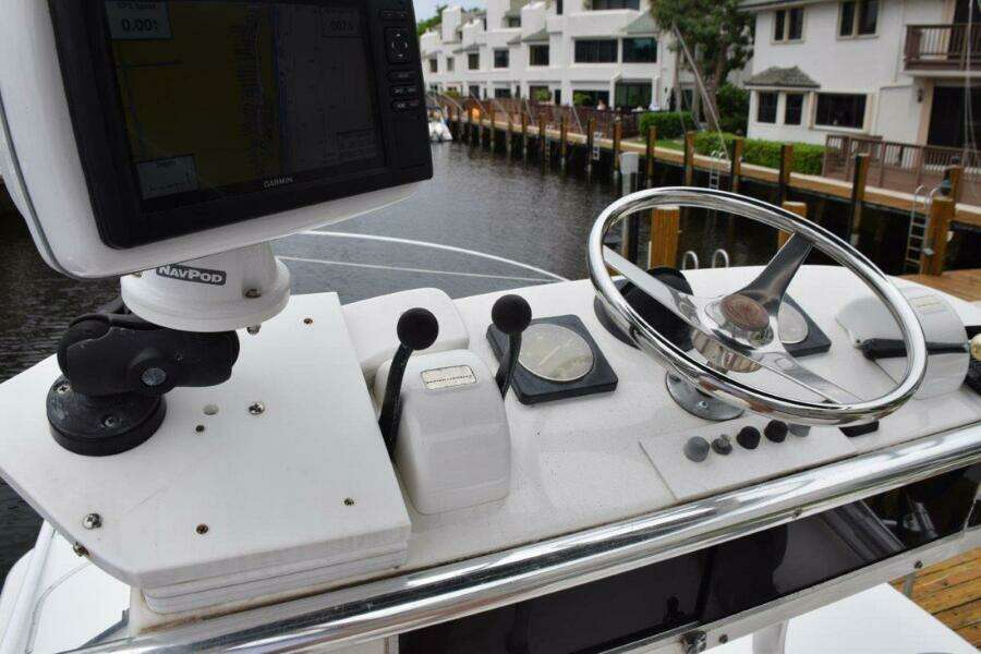 Tower Garmin, Panish Controls