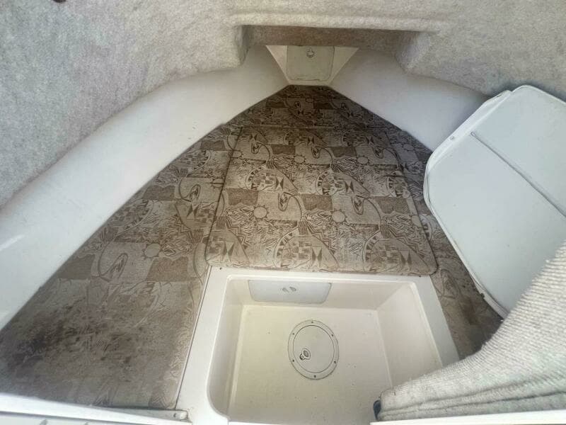 2005 Shamrock 220 Predator