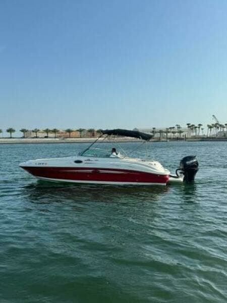 2007 Sea Ray 240 Sundeck