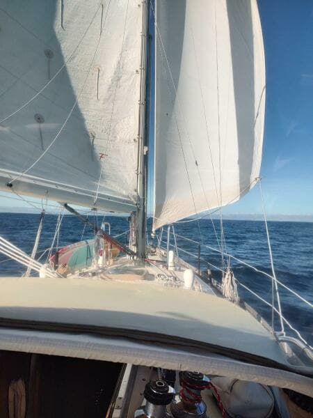 1988 Brewer Kaiulani