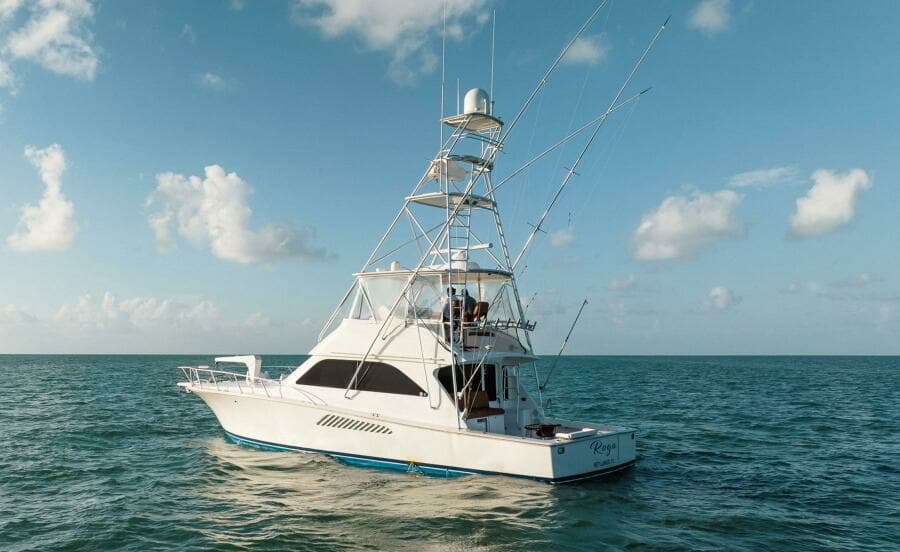 2005 Viking Convertible