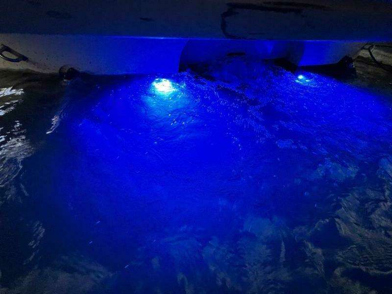 61 Underwater LED Lights