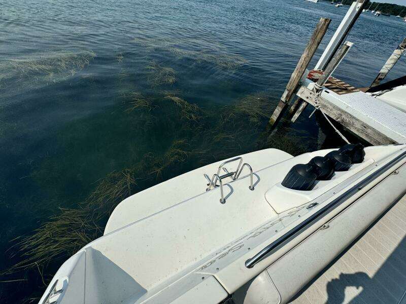 1995 Sea Ray Express Cruiser