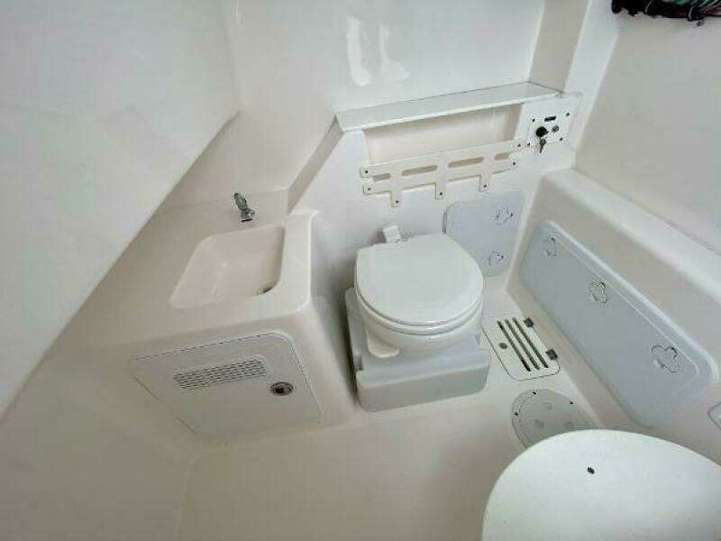 Everglades 32 Dauntless 325CC- Head