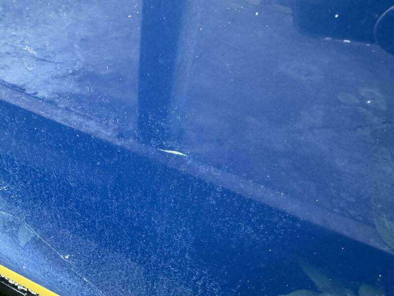 2006 Regal 3360 Window Express