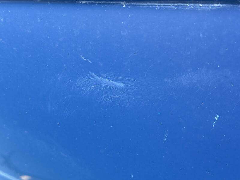 2006 Regal 3360 Window Express