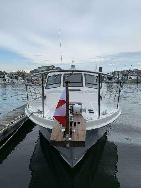 1991 Black Watch 36 Express