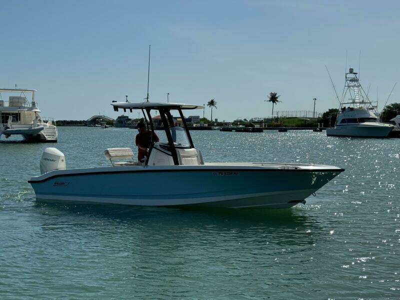2022 Boston Whaler 250 Dauntless