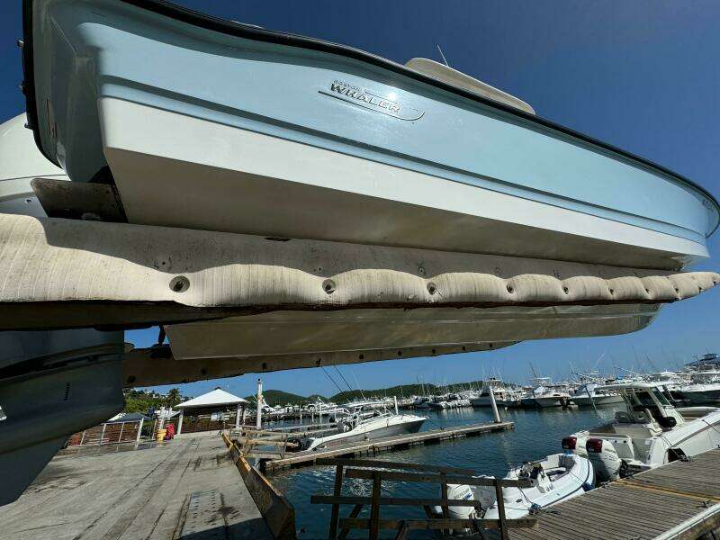 2022 Boston Whaler 250 Dauntless