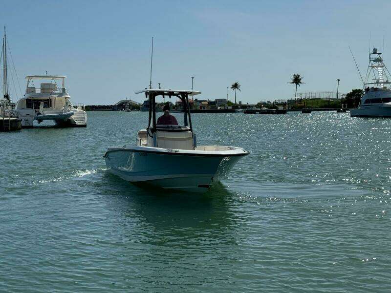 2022 Boston Whaler 250 Dauntless