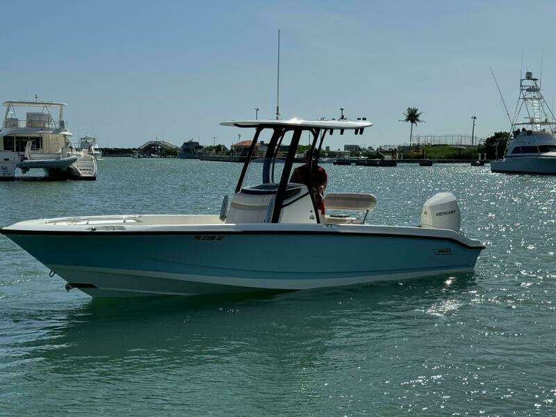2022 Boston Whaler 250 Dauntless
