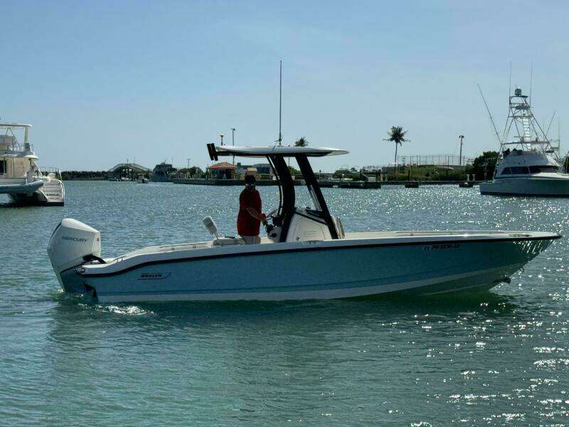 2022 Boston Whaler 250 Dauntless