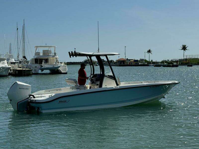 2022 Boston Whaler 250 Dauntless