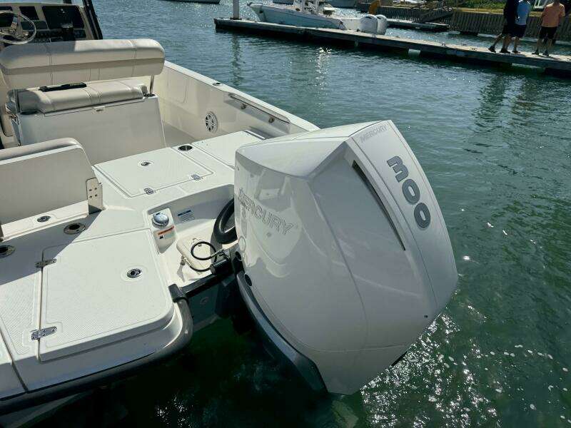 2022 Boston Whaler 250 Dauntless