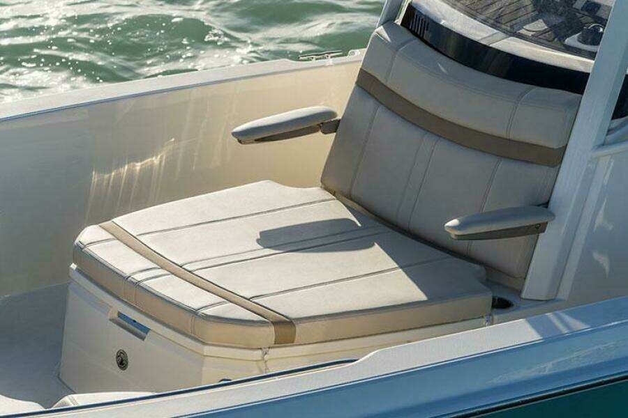 2022 Boston Whaler 250 Dauntless