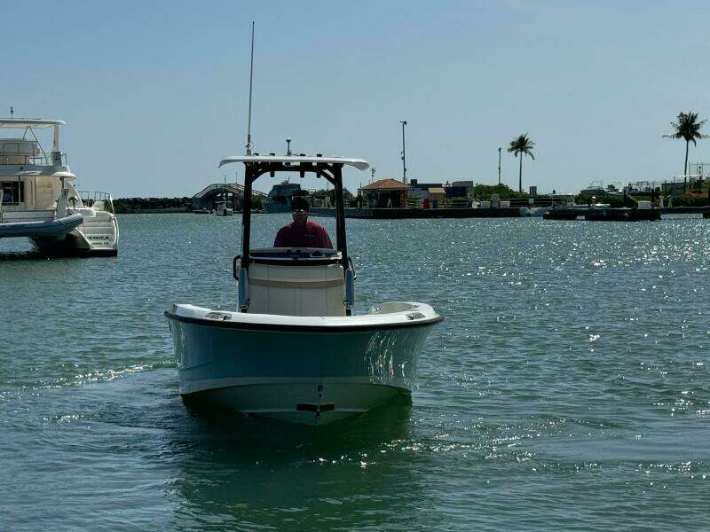 2022 Boston Whaler 250 Dauntless