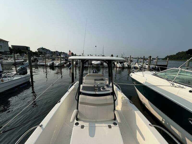 2023 Boston Whaler 250 Dauntless