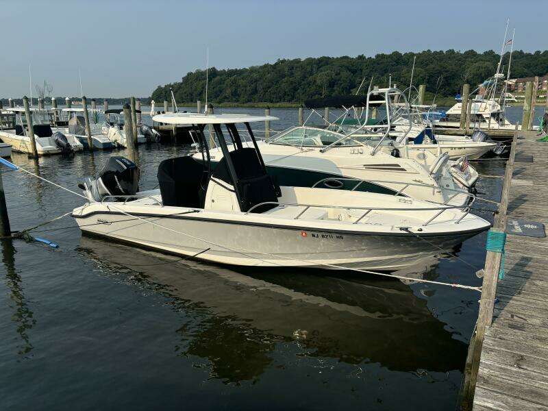 2023 Boston Whaler 250 Dauntless