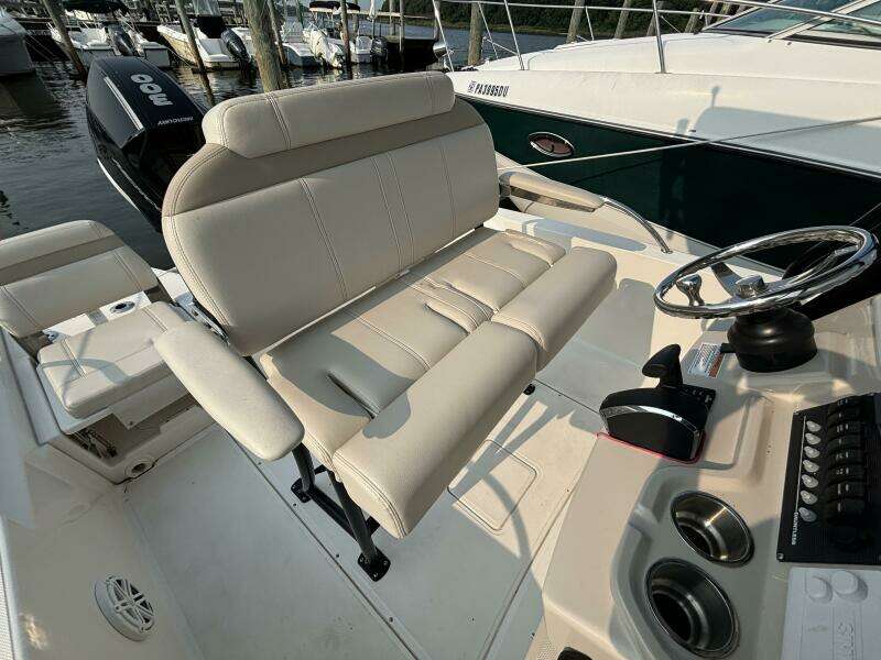 2023 Boston Whaler 250 Dauntless