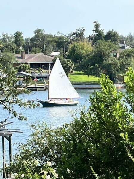 QQ Sailing in Florida