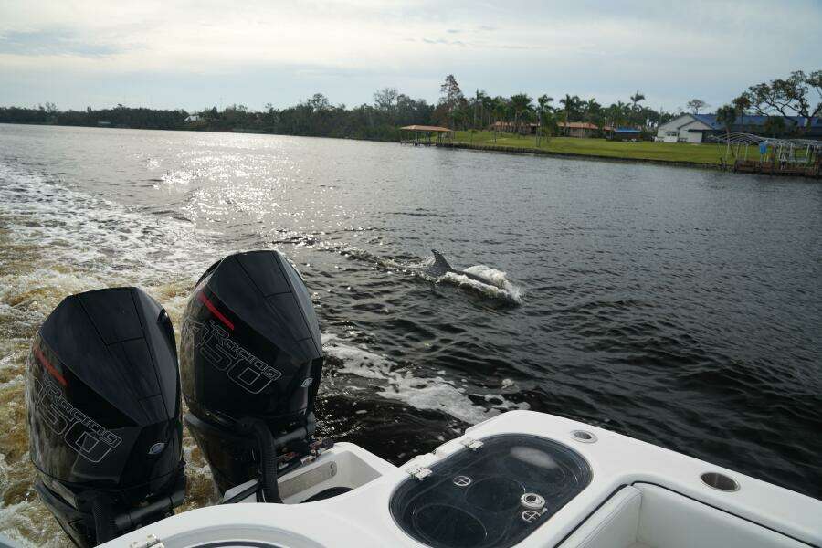 2022 Invincible 46 Catamaran