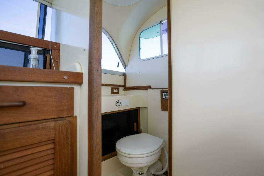 Bertram 31 Viajero- Head