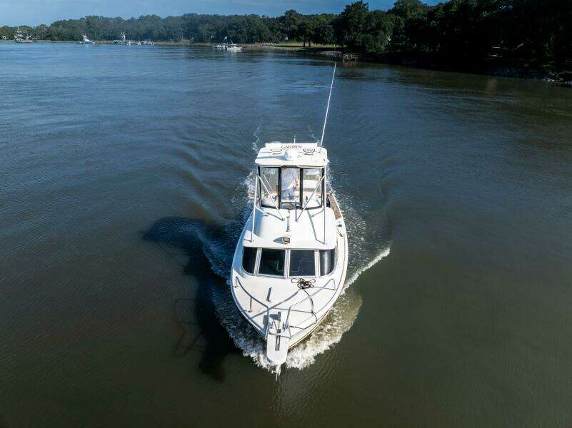 Bertram 31 Viajero- Profile