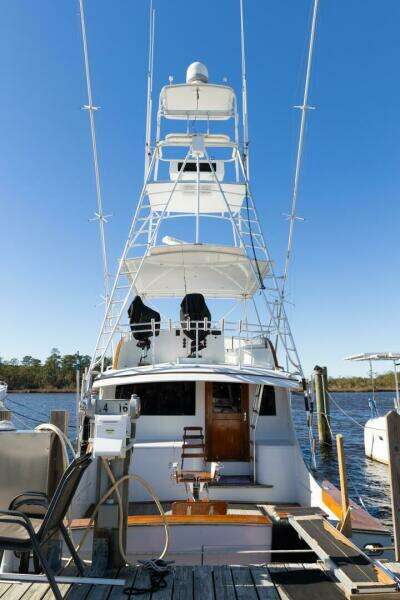 1987 Buddy Davis 61 Convertible