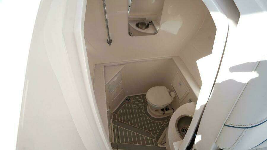 Talan't Show - Intrepid 40