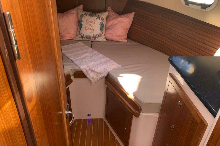 2020 True North 34 Outboard