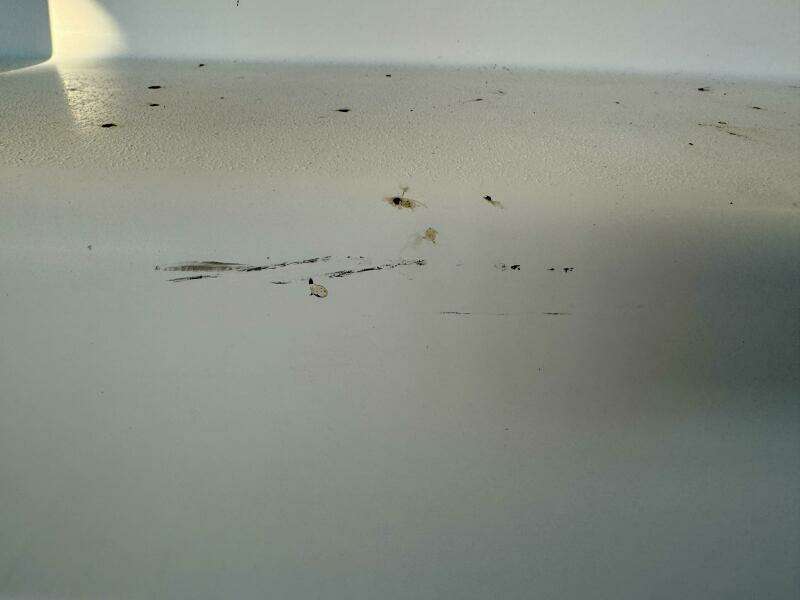 2004 Rinker 342 Fiesta Vee