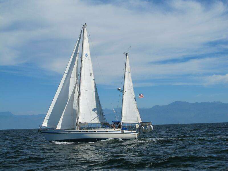 1984 Contest Conyplex - Contest