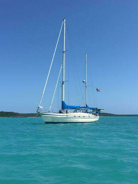 1984 Contest Conyplex - Contest