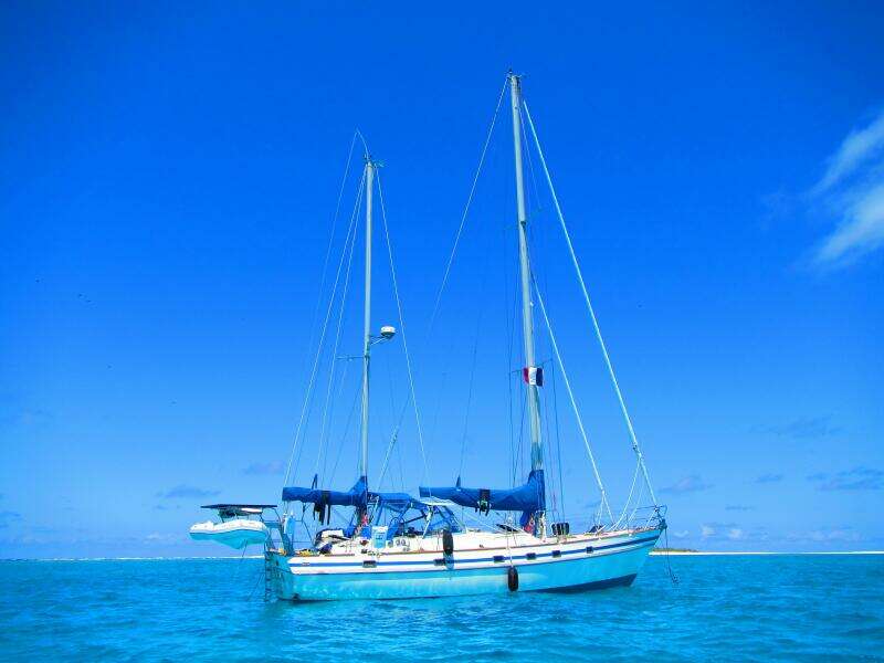 1984 Contest Conyplex - Contest