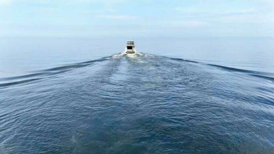 2019 Carver C52 Command Bridge