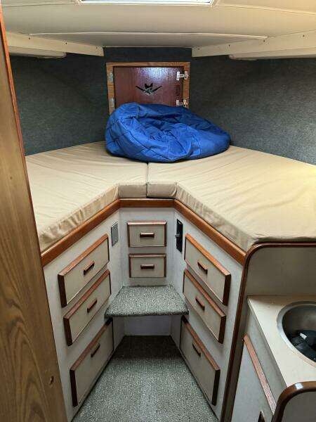 1983 Bertram 385 Convertible Cast Off II